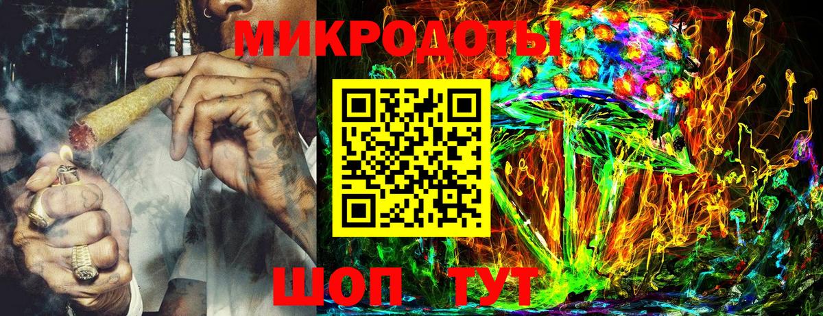 Псилоцибиновые грибы Psilocybine cubensis Саянск