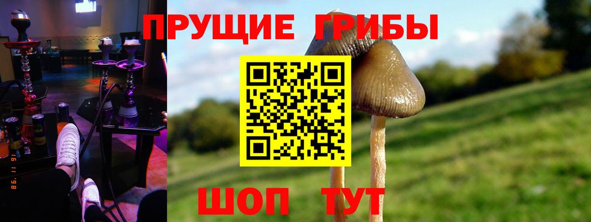 Саянск  Галлюциногенные грибы ЛСД  Вход с VPN  Псилоцибиновые грибы мицелий 